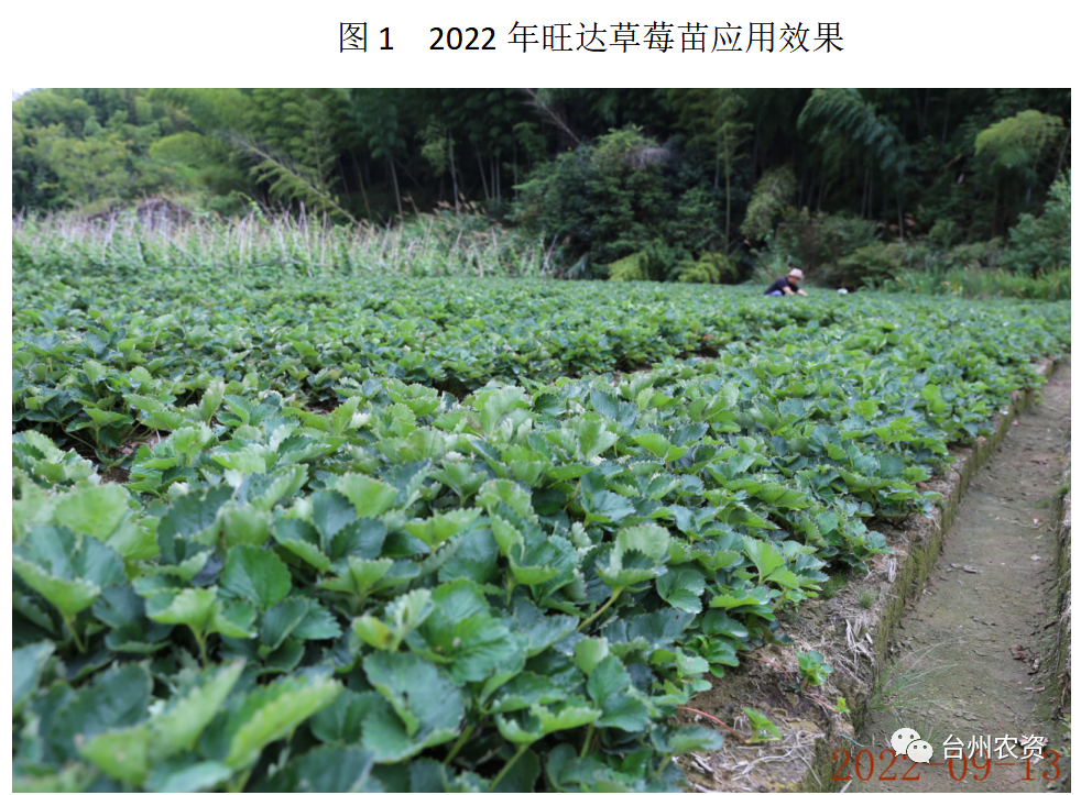 1675666047131487.png 640 (48).png